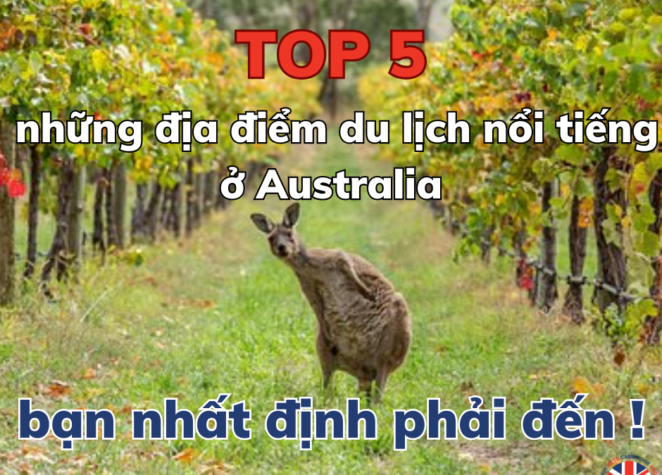 TOP 5 Những địa điểm du lịch nổi tiếng bạn nhất định phải tới khi du lịch Australia